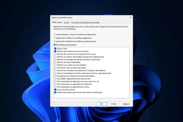 options de performances désactiver effets visuels windows