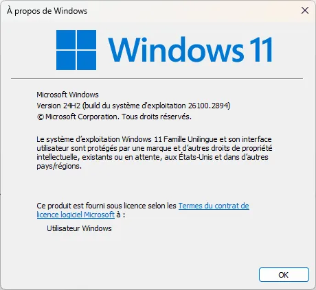 acerca de la versión del sistema operative windows 11