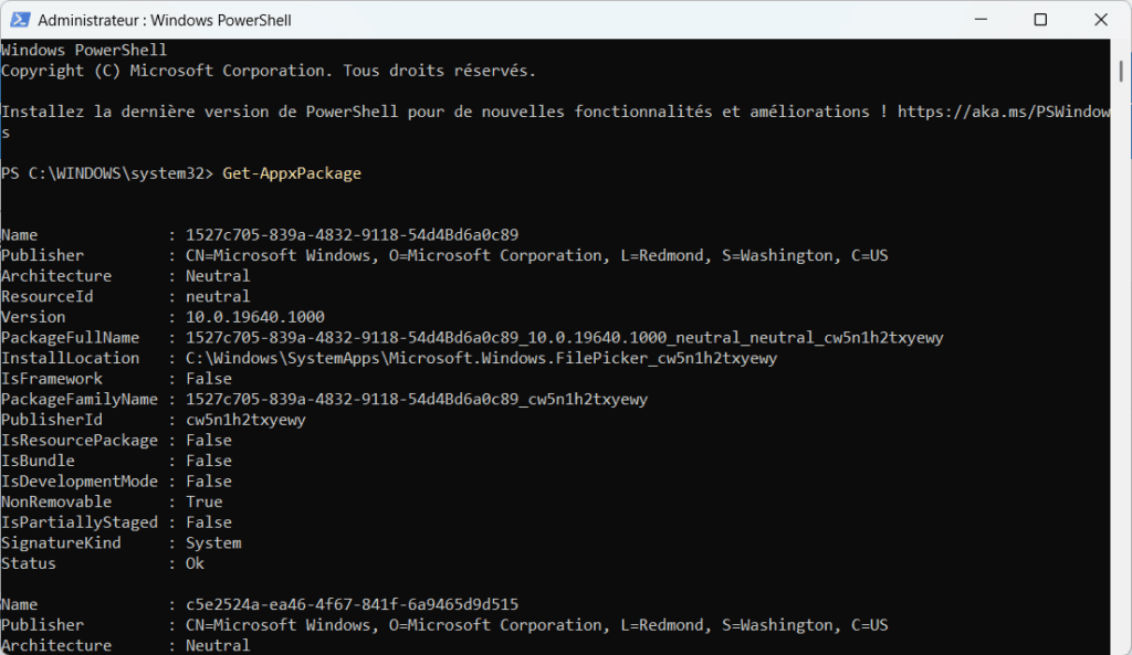 UWP-Anwendungen auflisten Windows powershell Get-AppxPackage