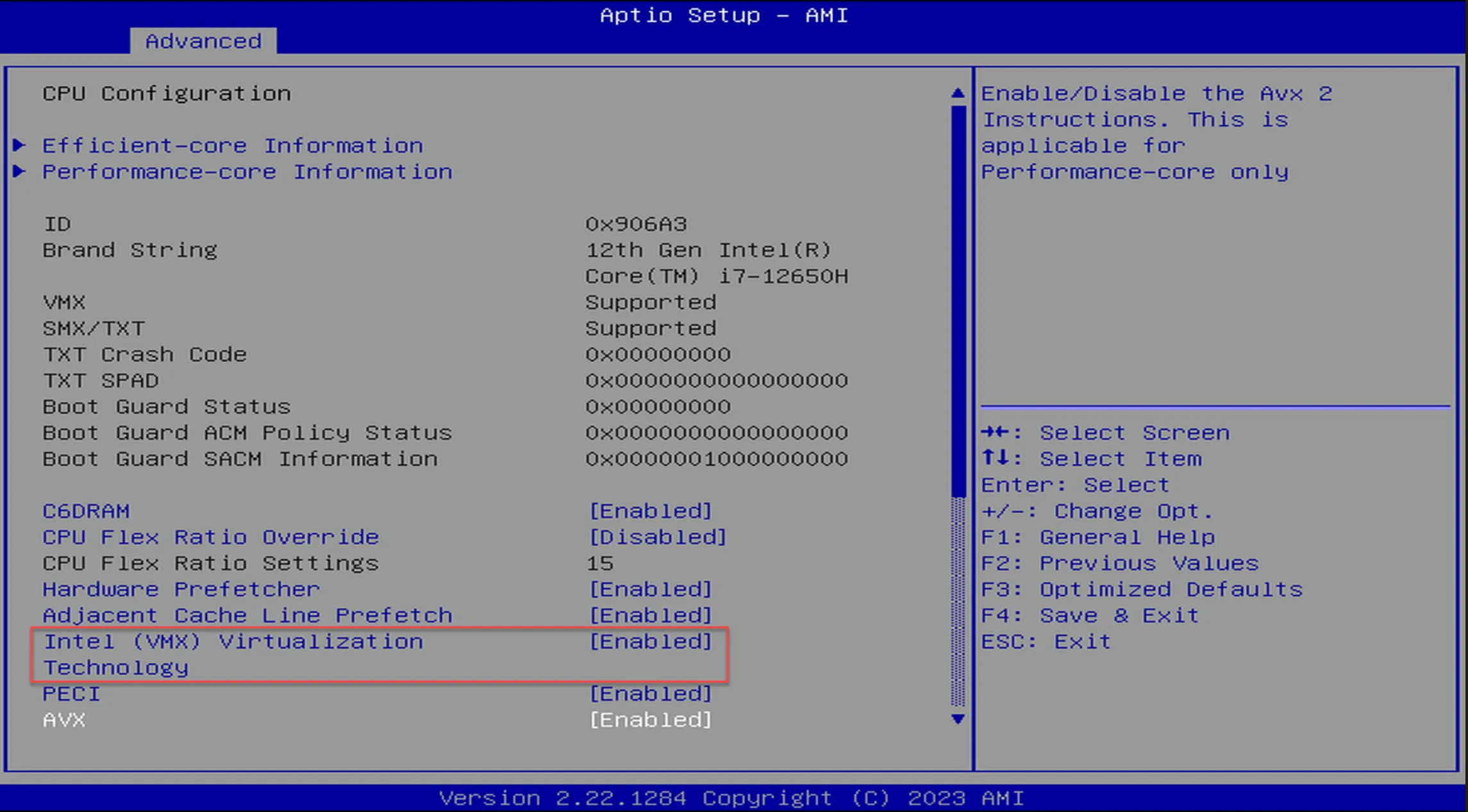 BIOS AMI Intel Virtualisierung (VMX) Virtualisierungstechnologie