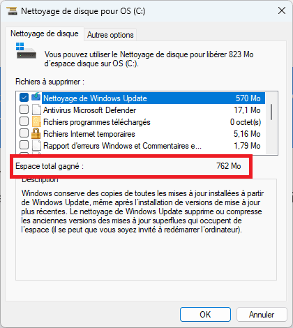 Deep disk cleanup Windows 11