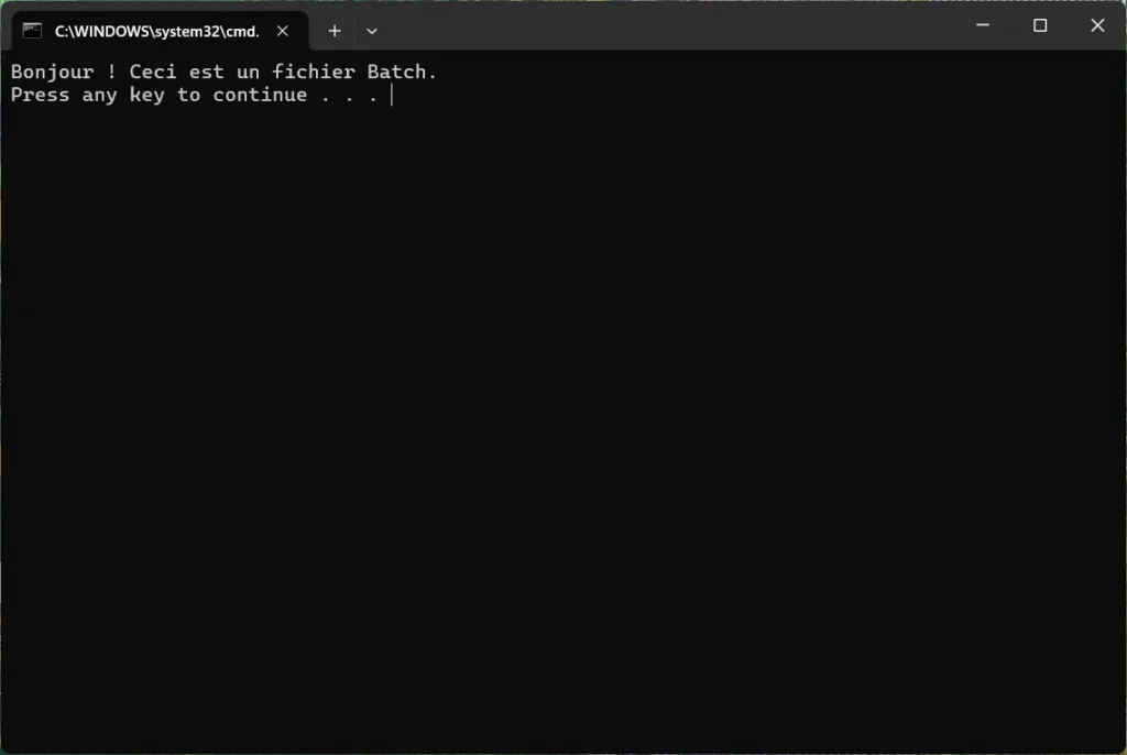 Lancement d'un script.bat depuis l'invite de commande (CMD).