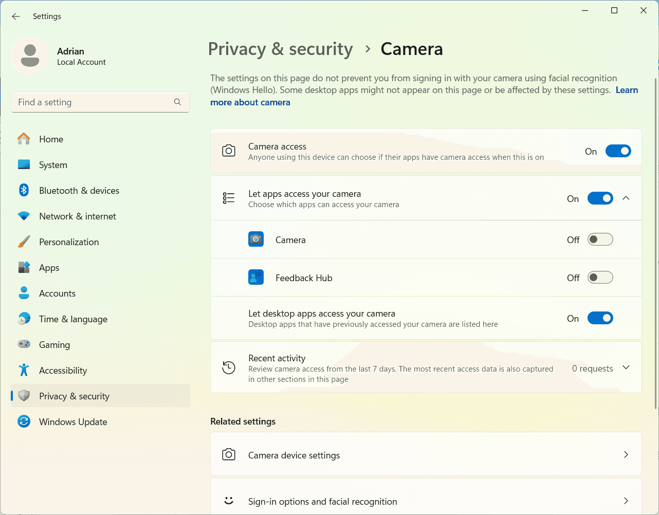 privacy camera settings windows