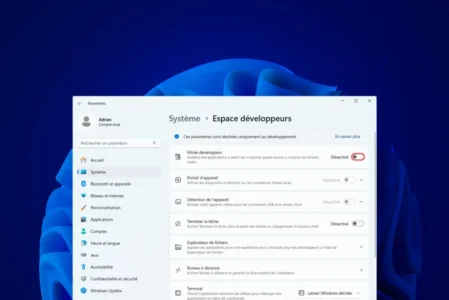 How do I activate Developer Mode on Windows 11?