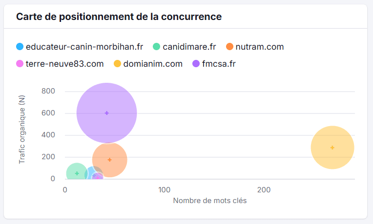 Visibilité de marque : l’impact SEO pour la FMCSA
