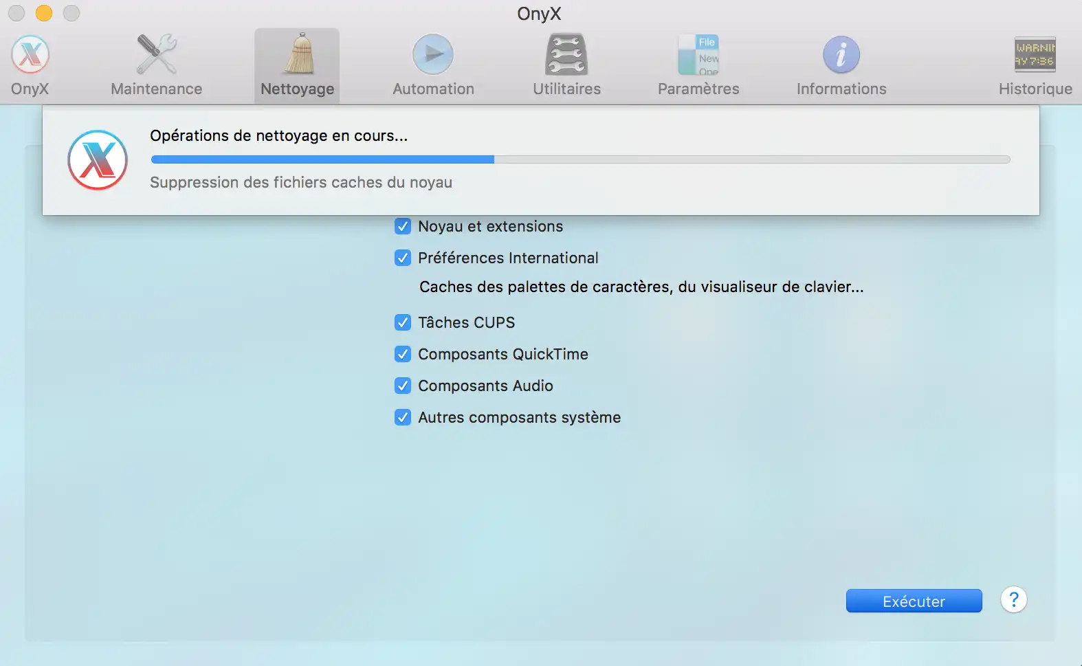 Optimisation Mac avec OnyX : suppression des caches système, noyau pour accélérer les performances
