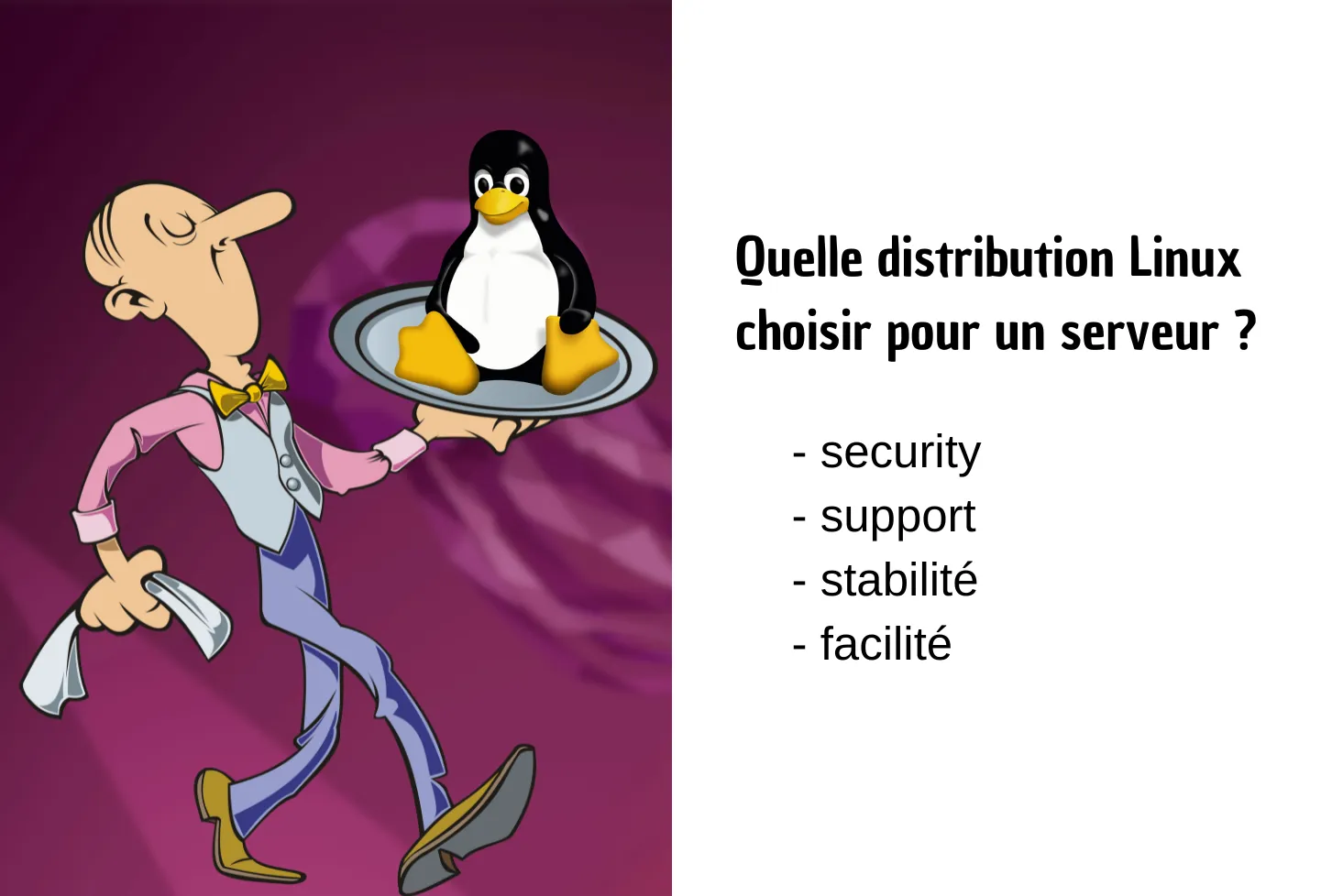 Quelle distribution Linux choisir pour un serveur en 2025 ?