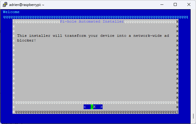 installer pi-hole sur linux