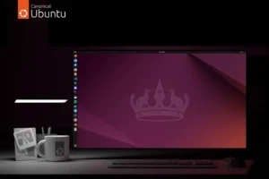 Installer Ubuntu pour remplacer Windows 10 sur votre PC