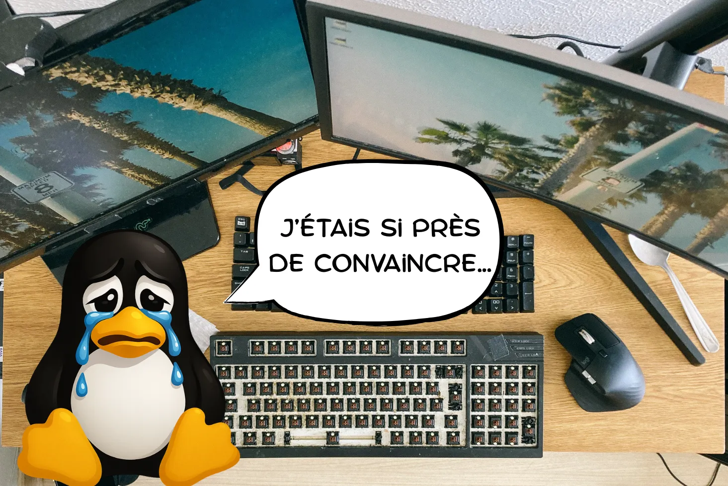 Linux déçoit en France, le système d’exploitation n’a pas su saisir sa chance