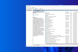 Désactiver les services inutiles sous Windows : Liste des services et guide