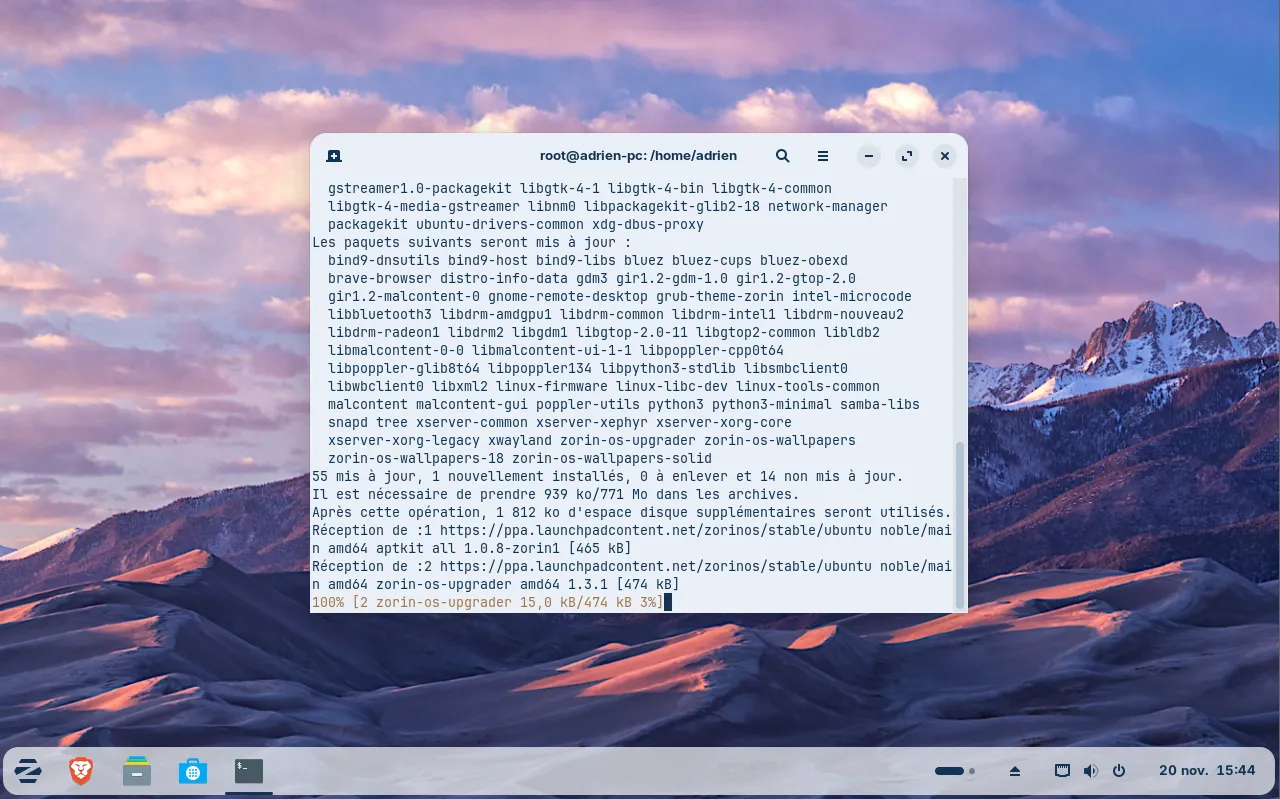 Le terminal de Zorin OS pour les utilisateurs avancés
