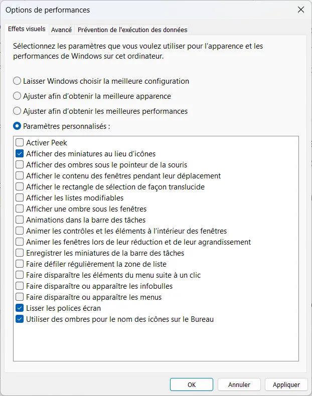 R&eacute;duire les effets visuels pour soulager Windows