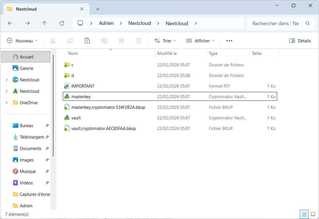 los archivos están encriptados y son ilegibles