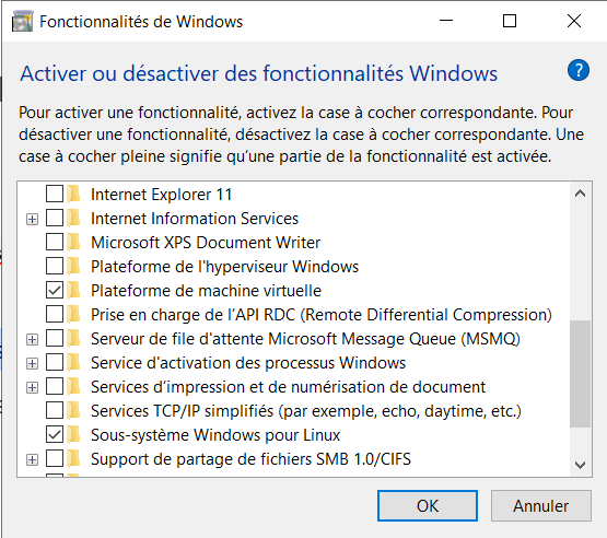 Activation des composants via l'interface Windows