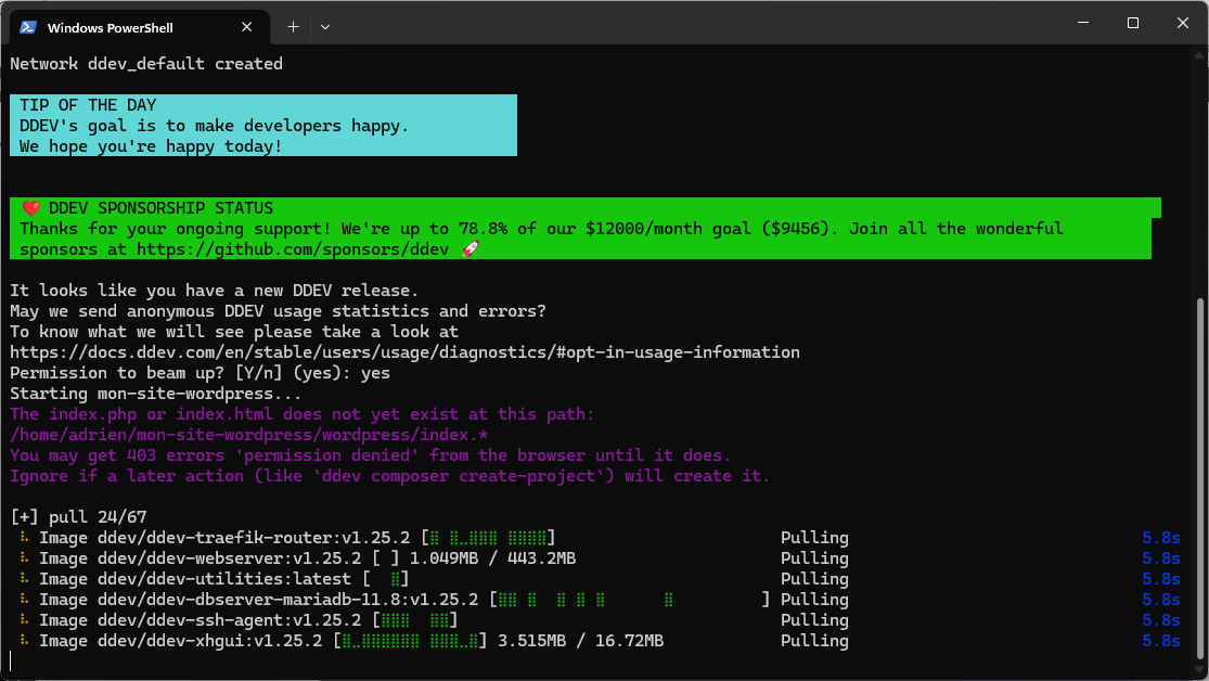 ddev start WordPress