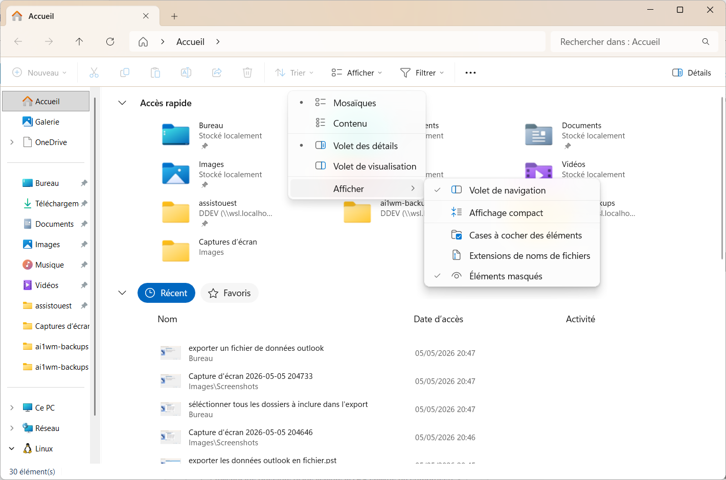 afficher rapidement les fichiers et dossiers cachés sous Windows 11