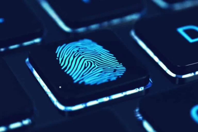 ¿Cómo investigan los expertos forenses un disco duro?