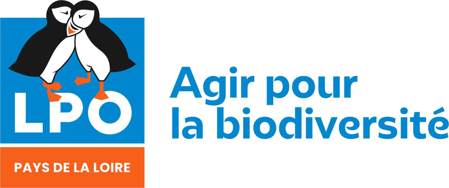 Réparation de la charnière d'un ordinateur pour la Ligue de protection des oiseaux de Loire-Atlantique